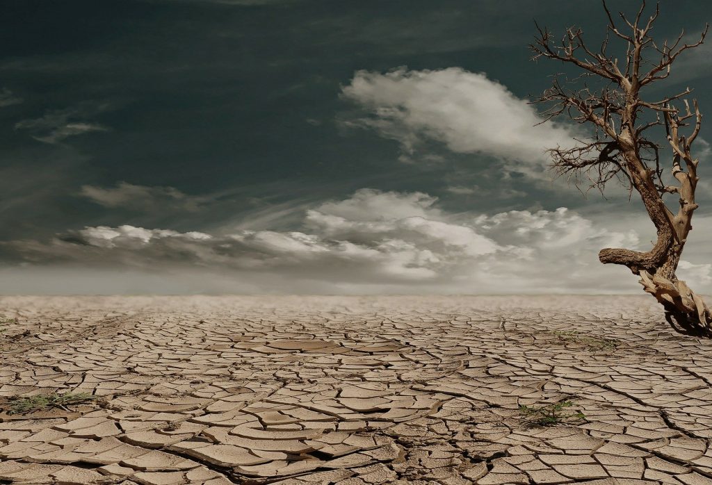 Dentro de 50 años mil millones de personas vivirán con calor insoportable