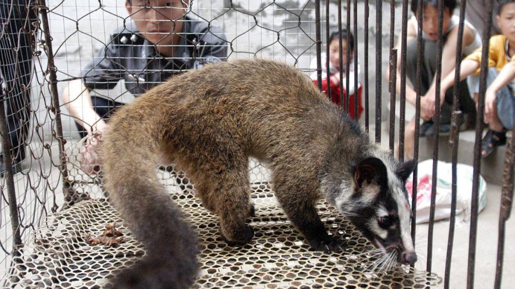 Se prohíbe oficialmente en Wuhan comer y criar animales salvajes